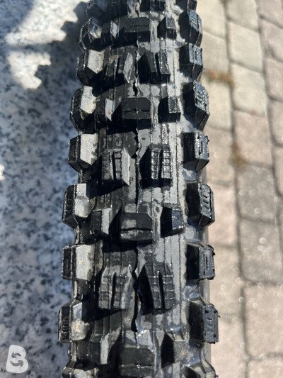 Maxxis Assegai
