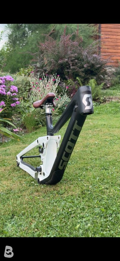 Scott Gambler 900 Tuned fullcarbon 2022