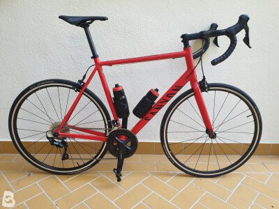 Canyon Endurance All 7 2022