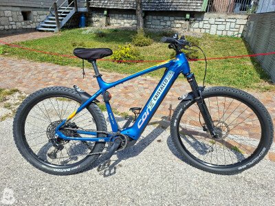 Corratec E-Power X Vert Race Gent 2024