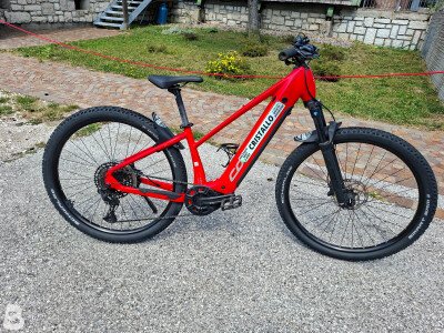 Corratec E-Power X Vert Elite Sport 2024