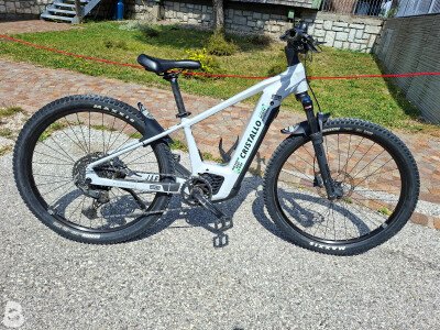 Focus JARIFA² 6.7 2024