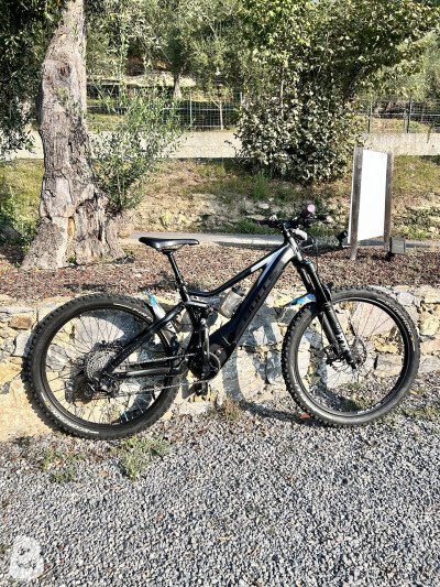 Bulls E-Stream EVO AM 4 2019