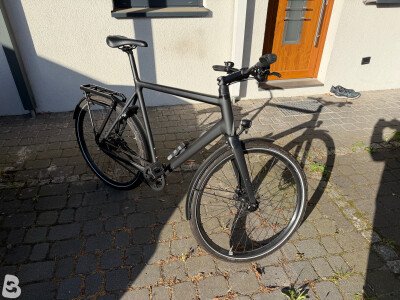 Rose BLACK LAVA 2 2023