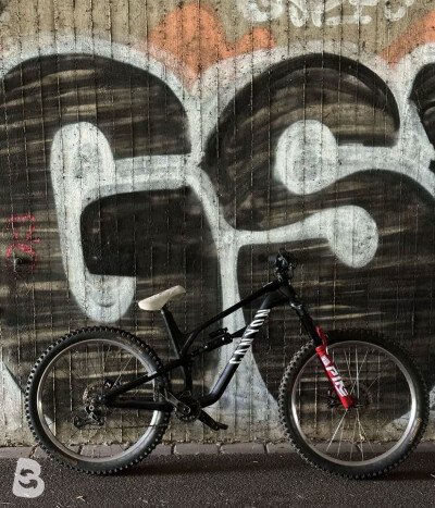 Canyon Spectral Aluminium 2022