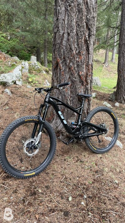GT carbon expert x 2017