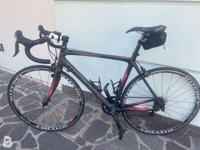 Moser 111 2012