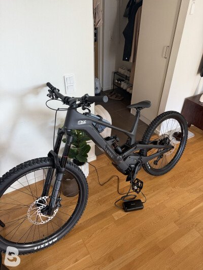 Canyon Torque:ON CF 8 2024