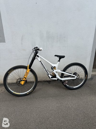 Propain Rage 3 CF 29 Highend 2023