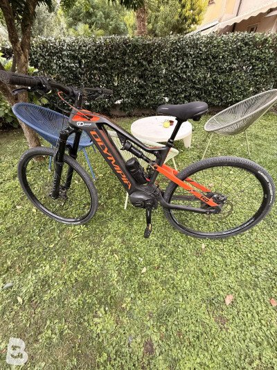 Olympia Carbon 8.0 EX 1 2020