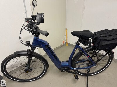 Flyer 6 5.01R 2019
