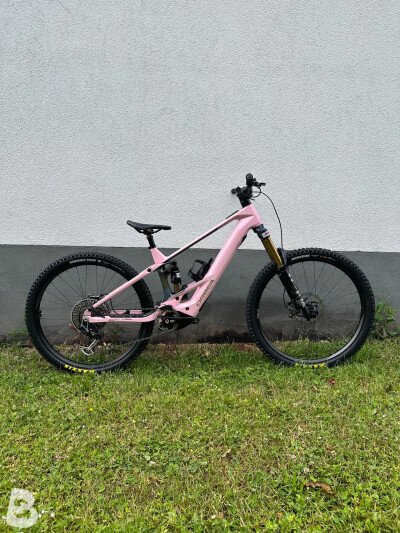 Orbea Wild M-LTD 2025