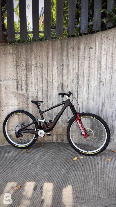 Specialized Enduro custom 2022