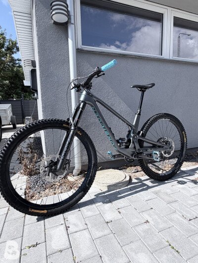Forbidden Druid XT 2022