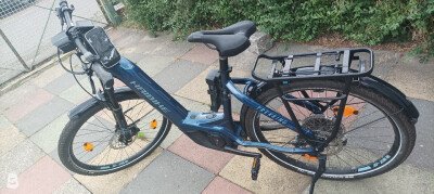 Haibike SDURO Trekking 8.0 Lowstandover 2020
