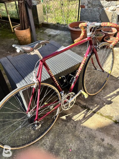 Vitus Vitus 2000