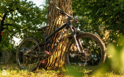 Trek Fuel EX 5 29 2017