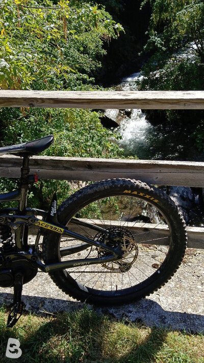 Giant Reign 2 2020