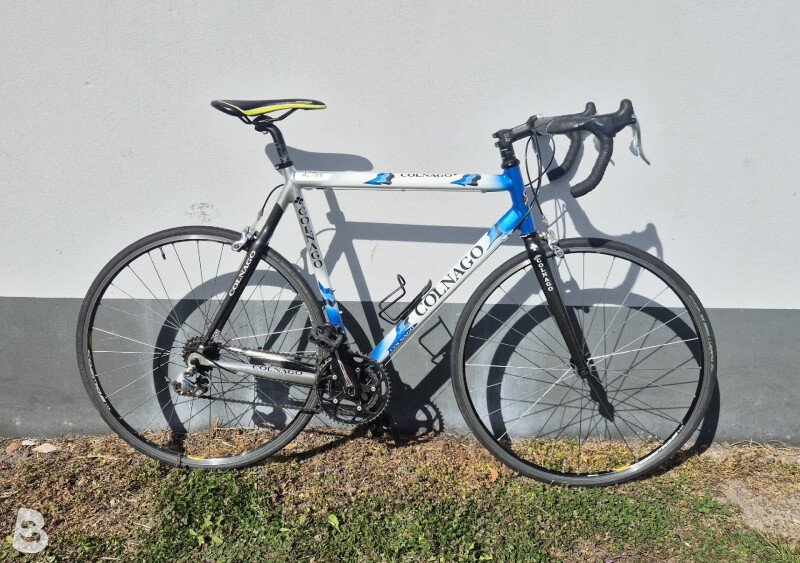 自転車本体 Colnago Active Colnago Active used