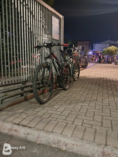 Rockrider St 530 S 2019