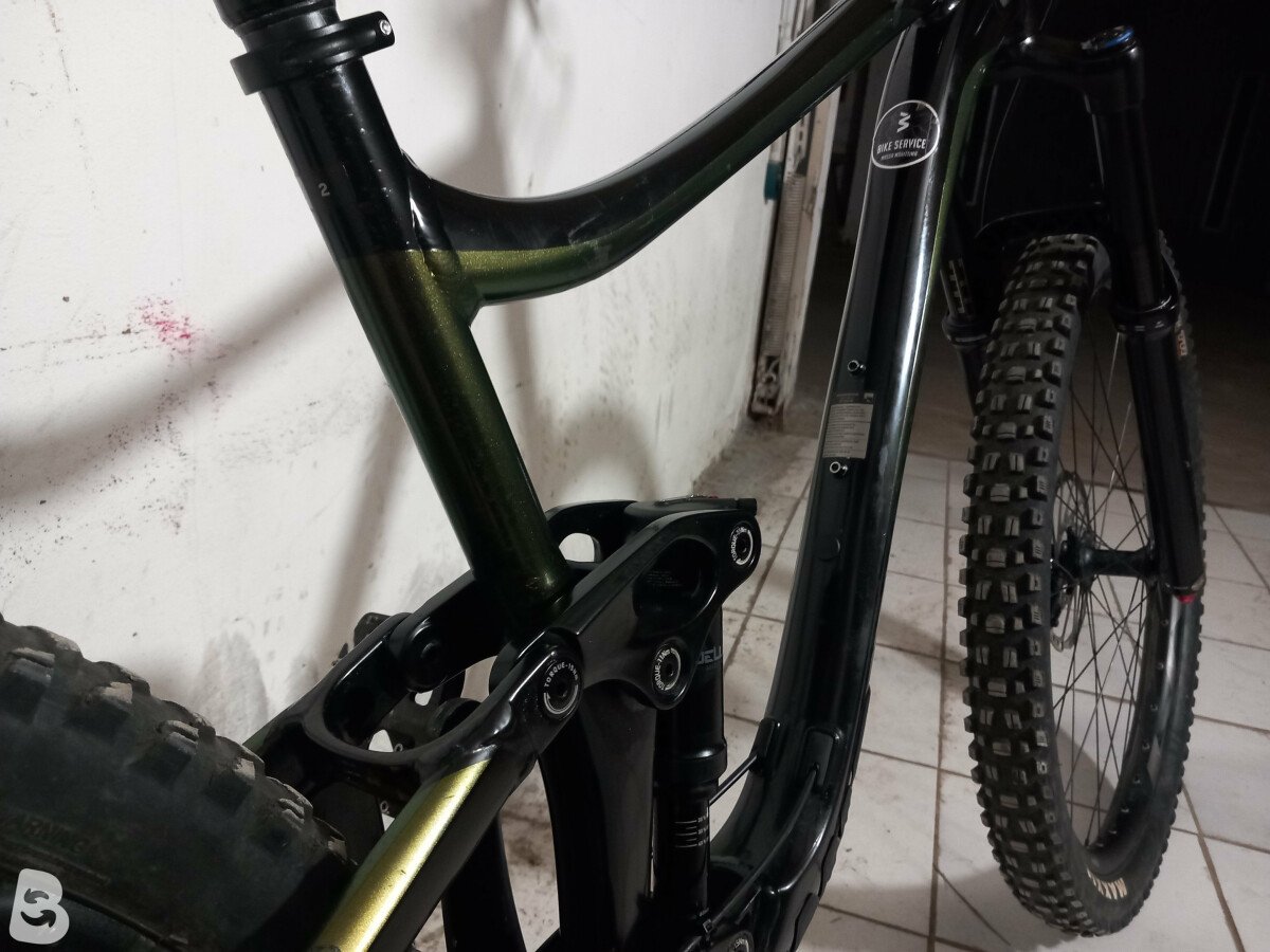 Giant reign carbon discount 2021