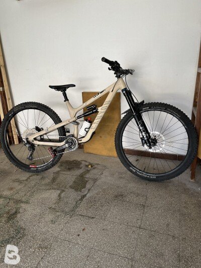 Canyon spectral AL 5 2023