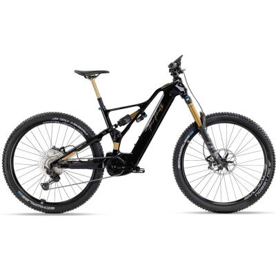 Kneissl Design World Champion Testrad 2024