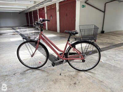Bottecchia Natura verde 2021