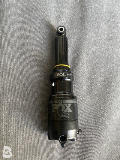 Fox Nude T 2020