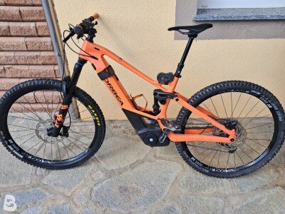 Orbea Wild 10 2022