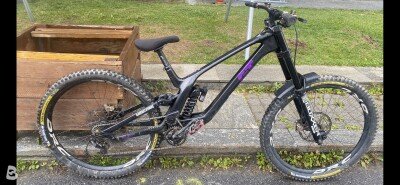 GT FURY Carbon 2024