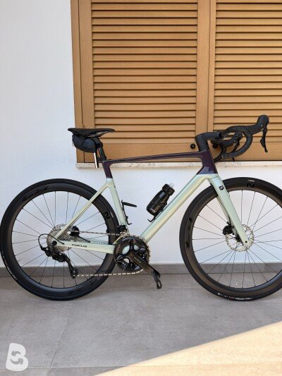 Focus Izalco Max 8.8 2025