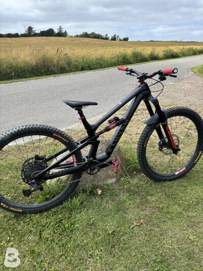 Canyon Torque 29 CF 7 2023