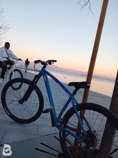 Mafia Bikes Stb Lucky6 2024
