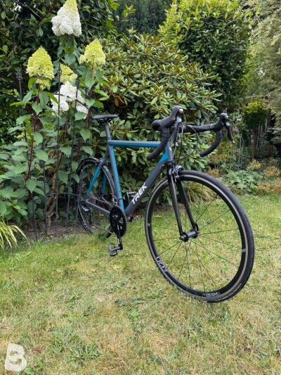 Trek Domane AL 2 Rim 2020
