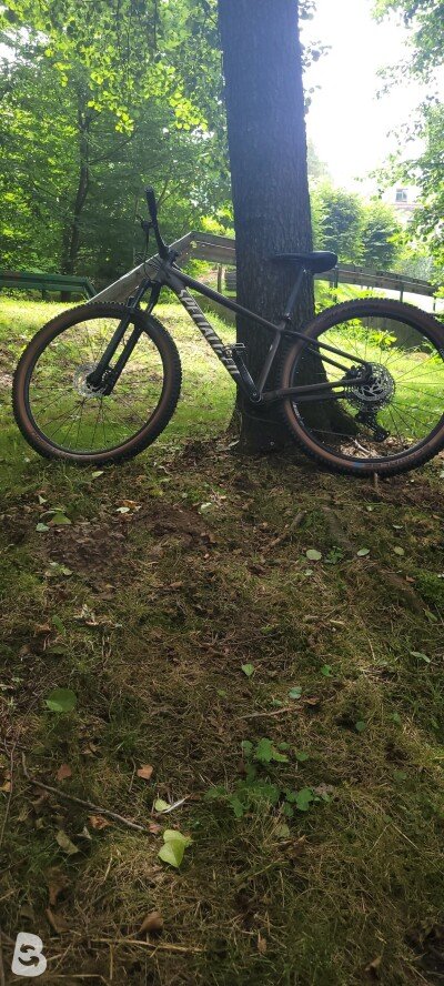Specialized Rockhopper Elite 29 2022
