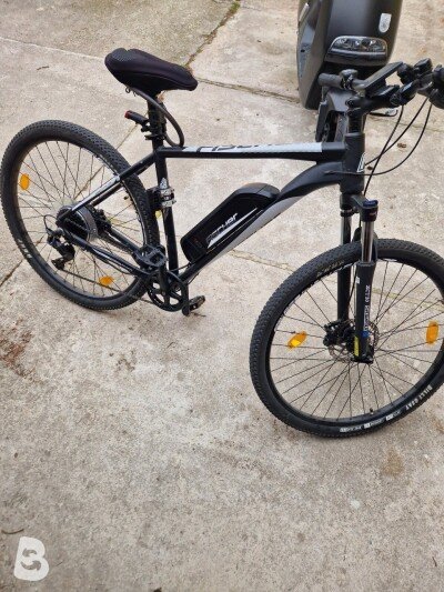 Fischer Montis Em 1724 2022