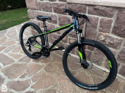 Bulls Sharptail 1 Disc 2020