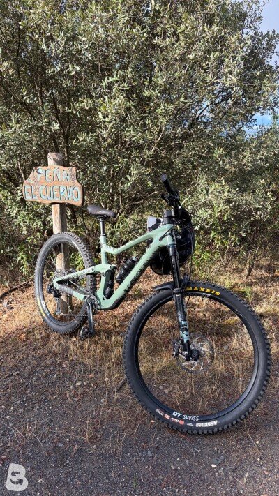 Scott Ransom 910 2021