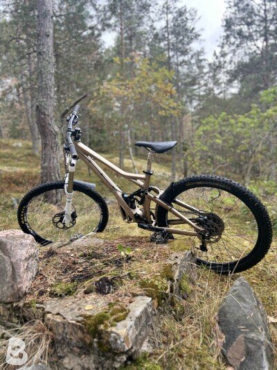 Giant Reign X2 2010