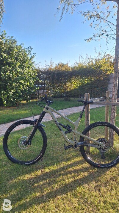 Radon Swoop 9.0 2021