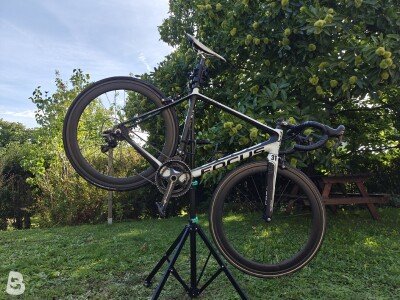 Focus Izalco 2014