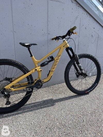 Canyon Torque 29 AL 6 2022