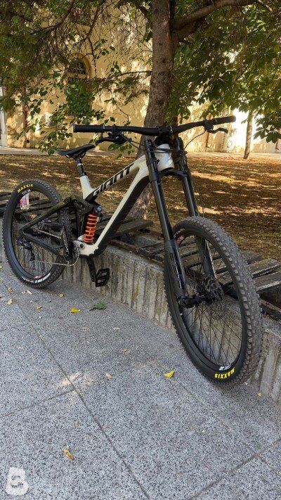 Giant Glory Advanced 2024