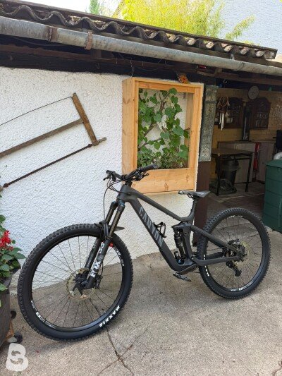 Canyon Strive CFR Underdog 2024