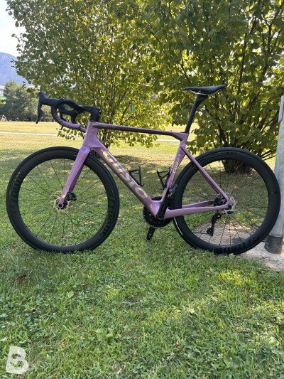 Gusto Cobra Evo DB sport Te 2025