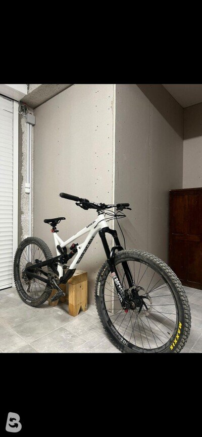 Saracen Ariel Elite 2019