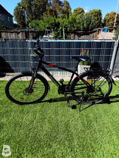 Pegasus Solero SL Disc 24 Diamond 2022