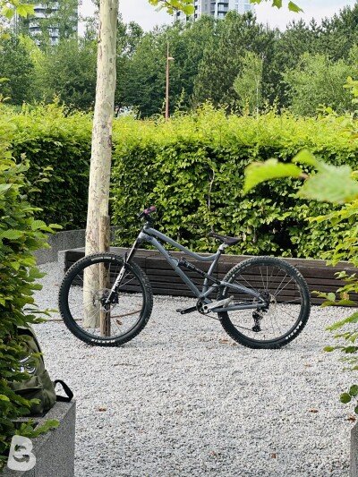 Dartmoor Bluebird EVO 27.5 2021