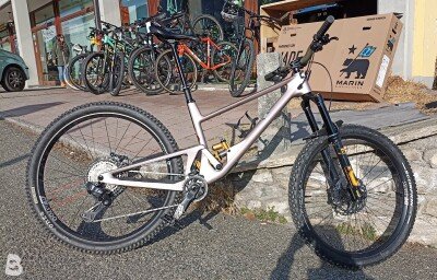 Scor 4060 LT custom 2024